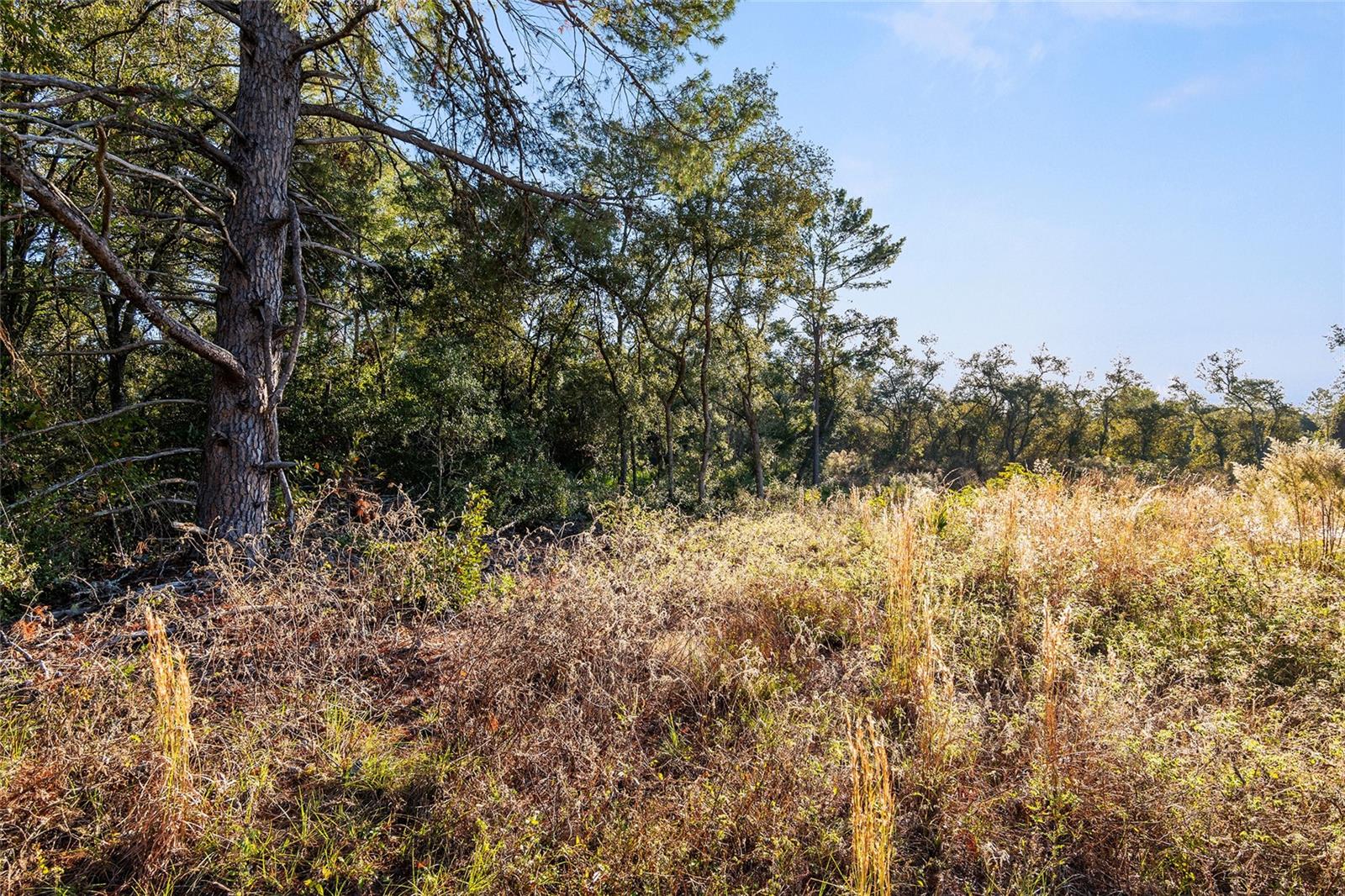 TBD SW 31ST CT, OCALA, FL, 34473