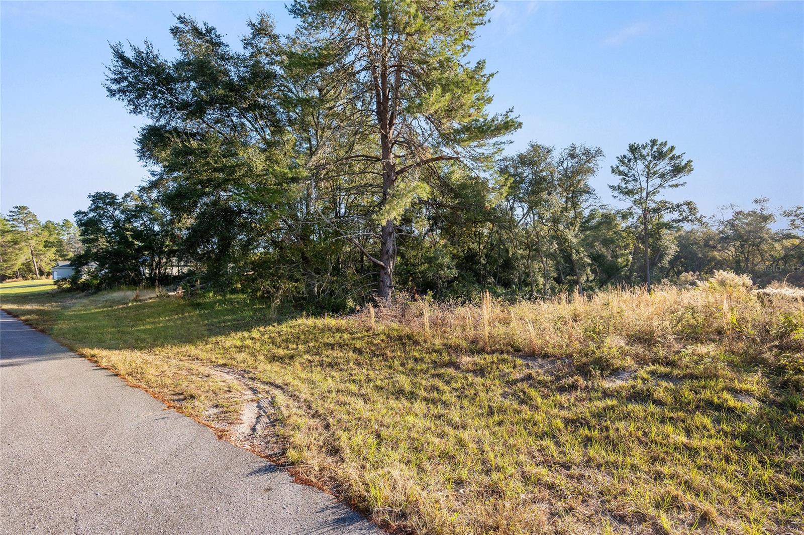 TBD SW 31ST CT, OCALA, FL, 34473