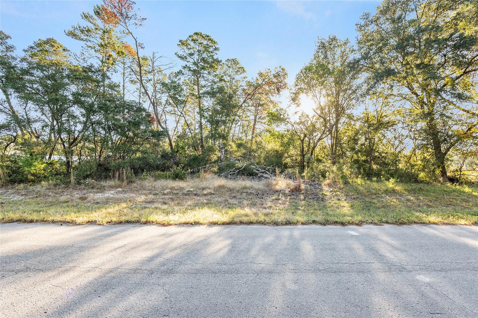 TBD SW 31ST CT, OCALA, FL, 34473