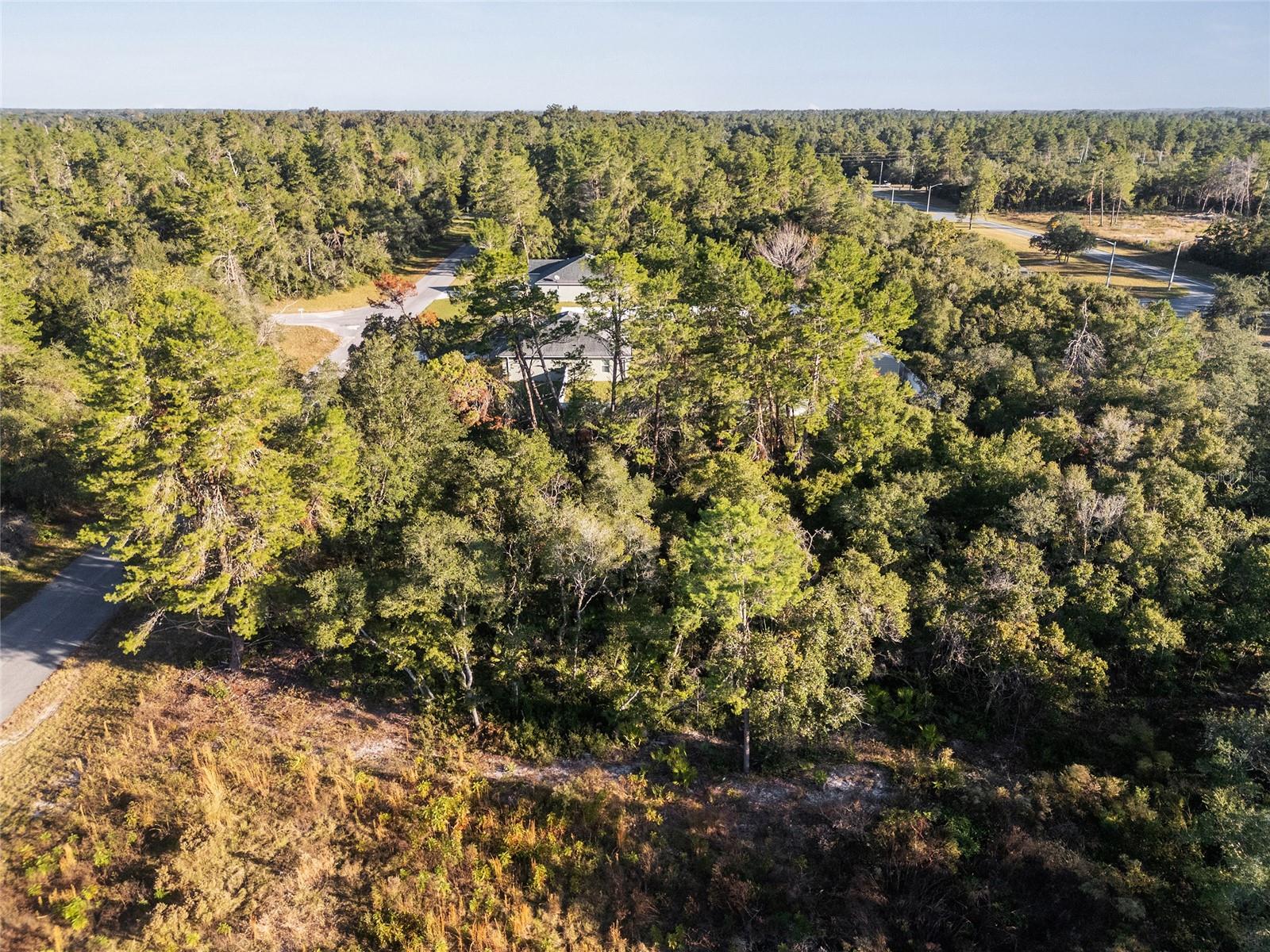 TBD SW 31ST CT, OCALA, FL, 34473