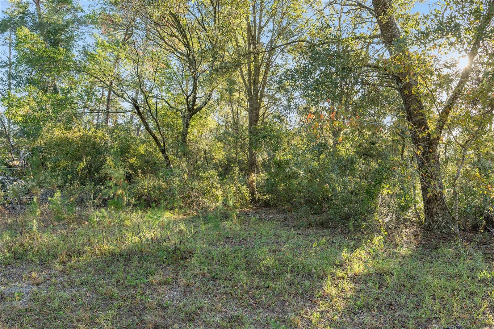 TBD SW 31ST CT, OCALA, FL, 34473