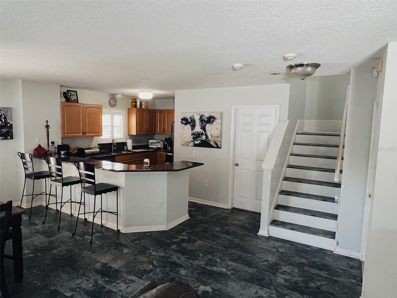 1102 W CHARTER ST, TAMPA, FL, 33602