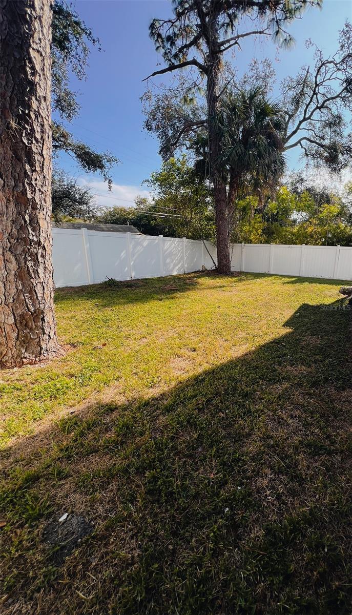 1102 W CHARTER ST, TAMPA, FL, 33602