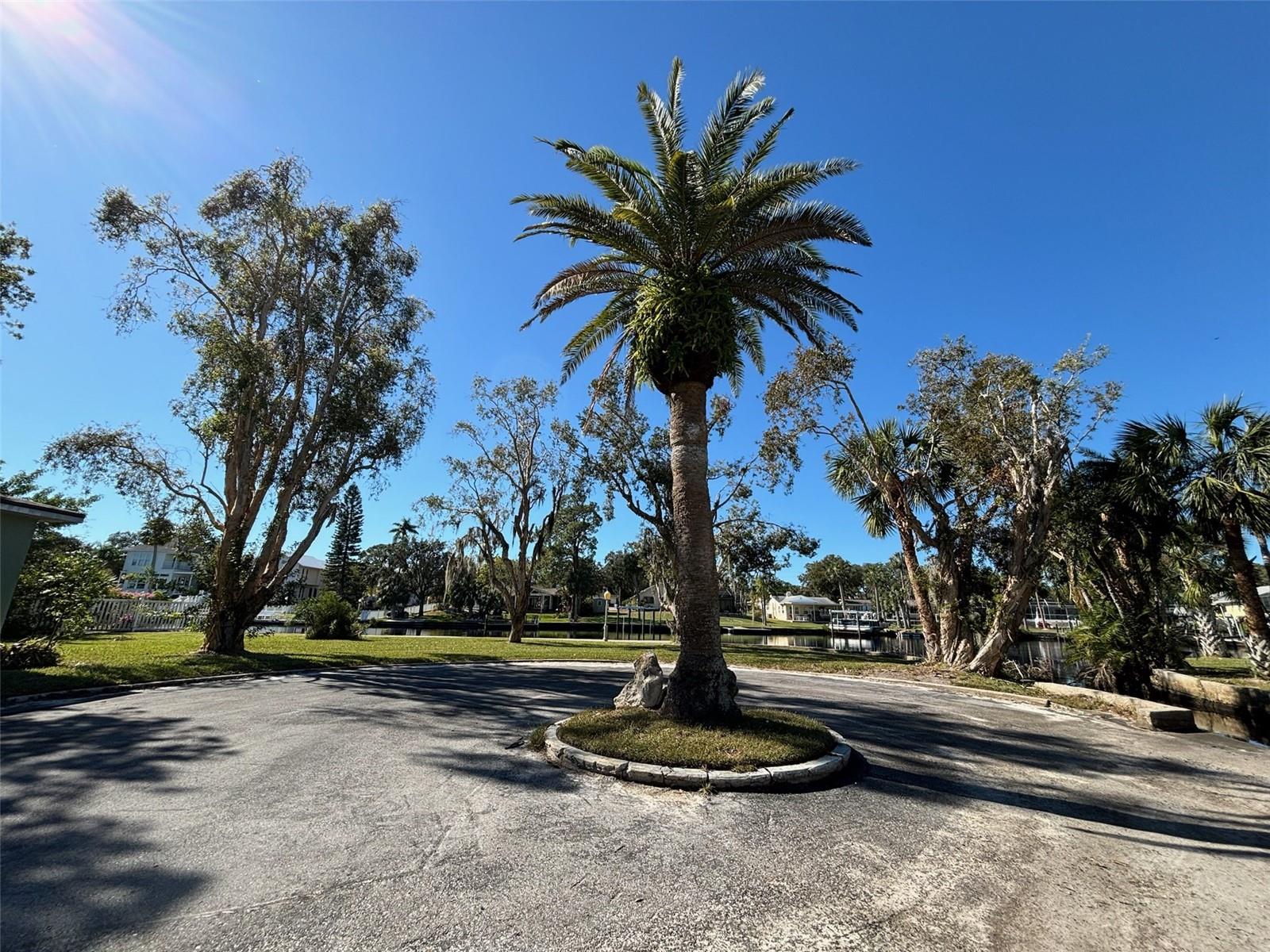 5329 RICHEY DR, NEW PORT RICHEY, FL, 34652