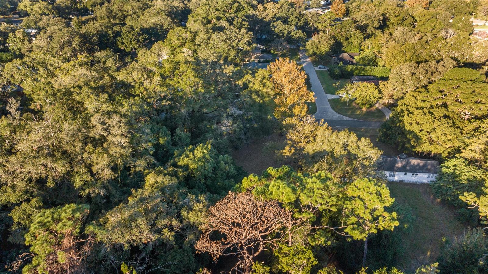 NE 52ND CT, OCALA, FL, 34470