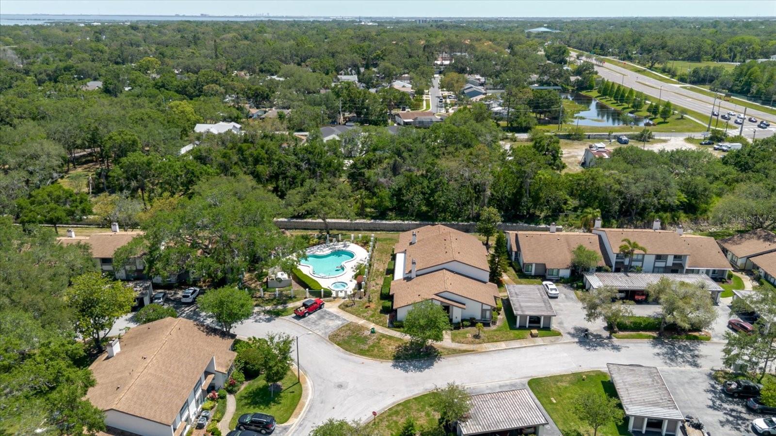 1808 CYPRESS TRACE DR #1808, SAFETY HARBOR, FL, 34695