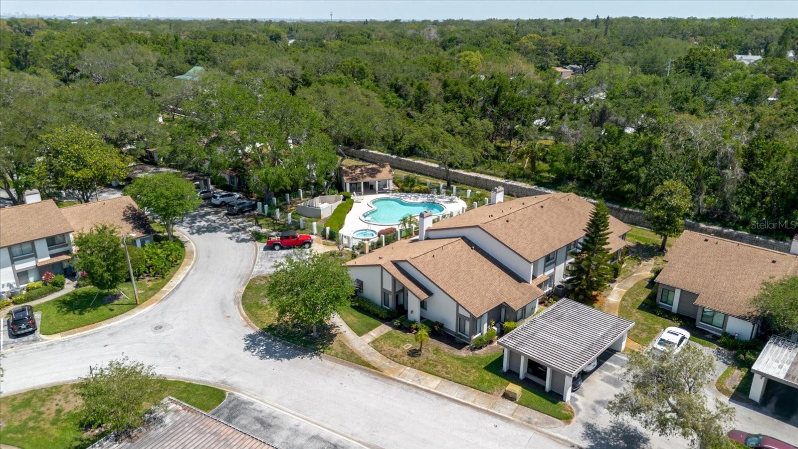1808 CYPRESS TRACE DR #1808, SAFETY HARBOR, FL, 34695