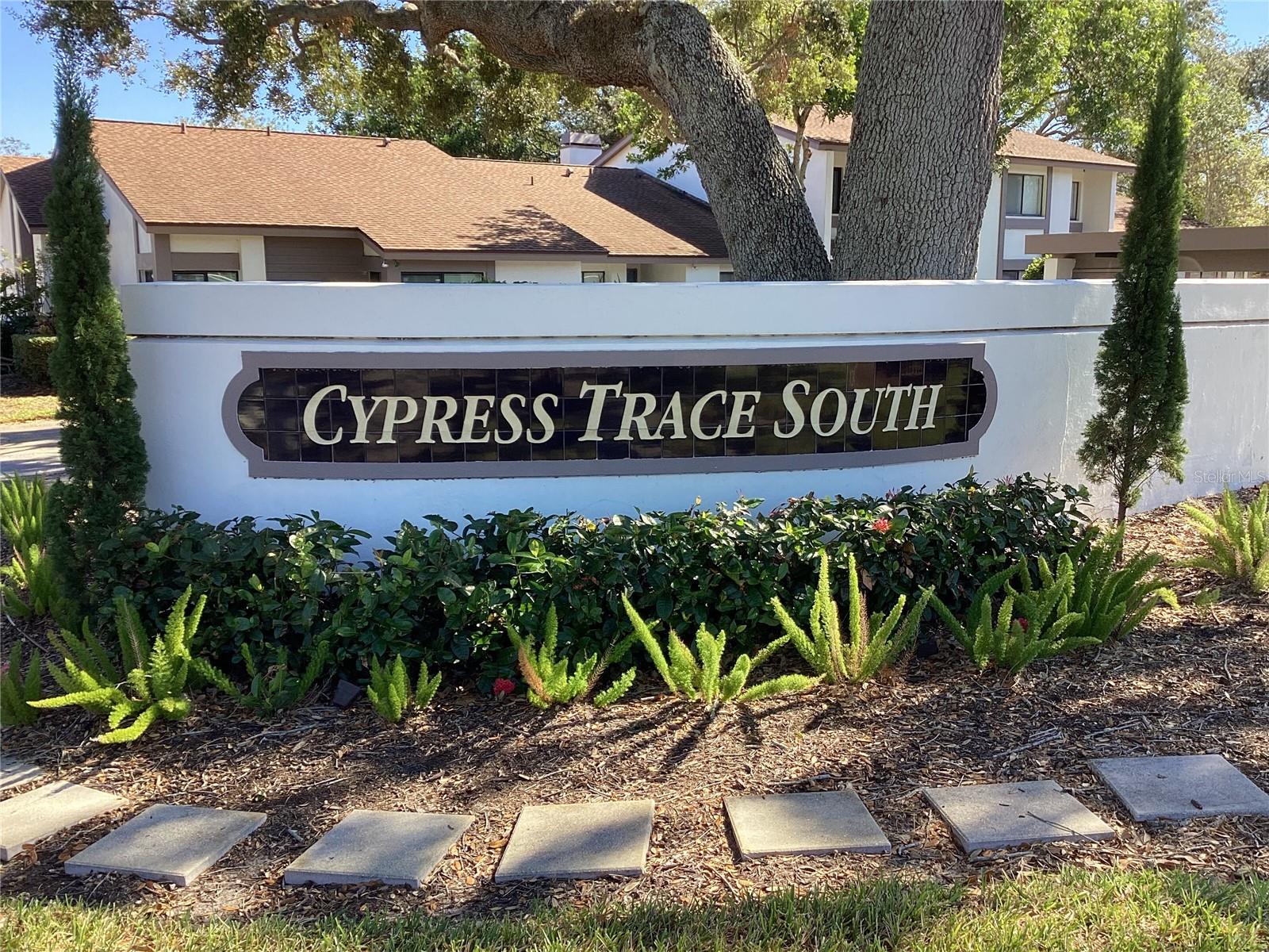 1808 CYPRESS TRACE DR #1808, SAFETY HARBOR, FL, 34695