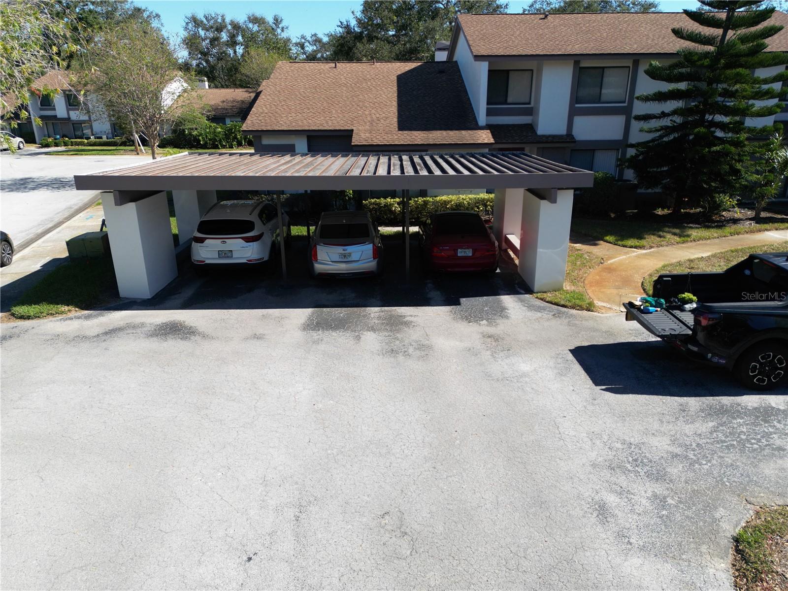 1808 CYPRESS TRACE DR #1808, SAFETY HARBOR, FL, 34695