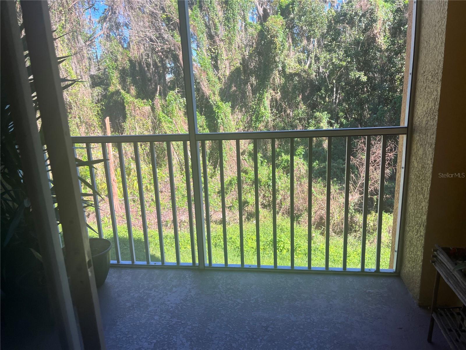 6265 CONTESSA DR #203, ORLANDO, FL, 32829