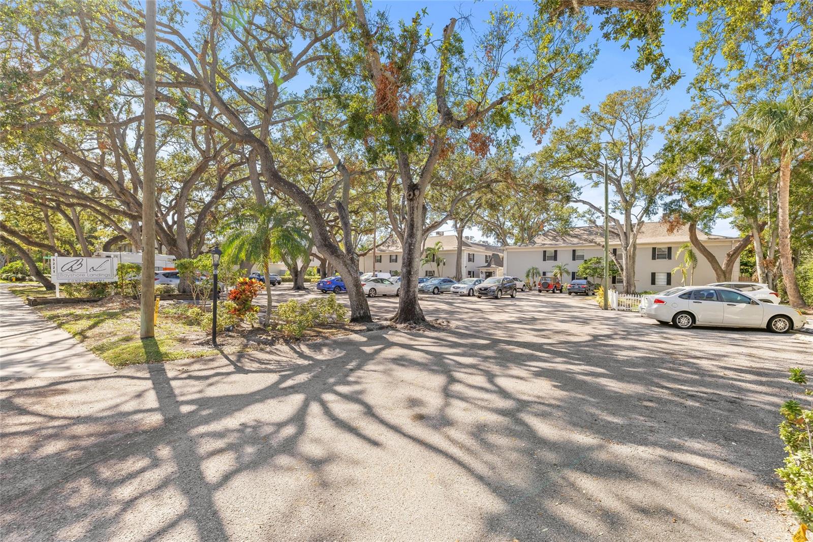 5221 BAYSHORE BLVD #18, TAMPA, FL, 33611
