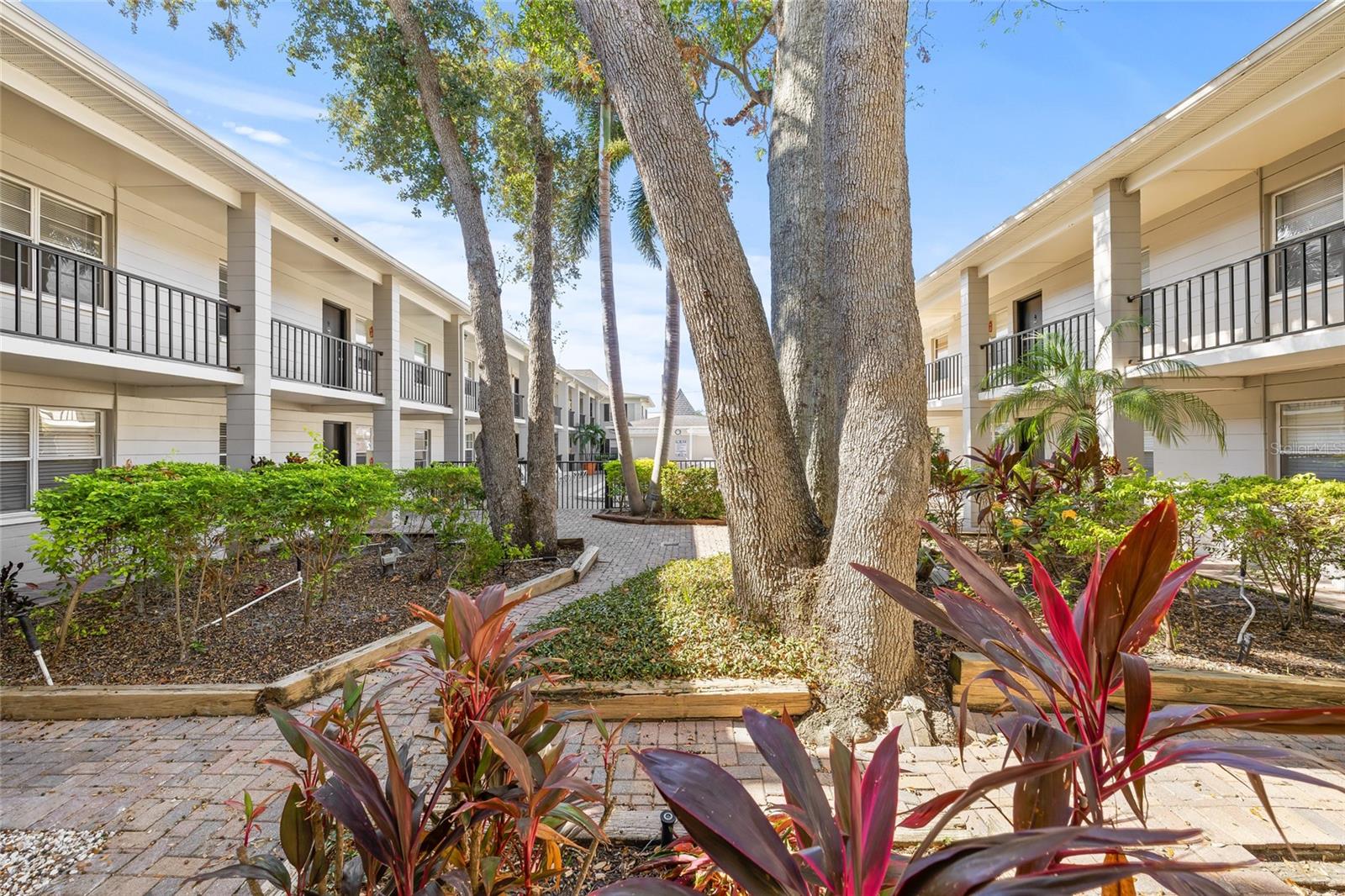 5221 BAYSHORE BLVD #18, TAMPA, FL, 33611