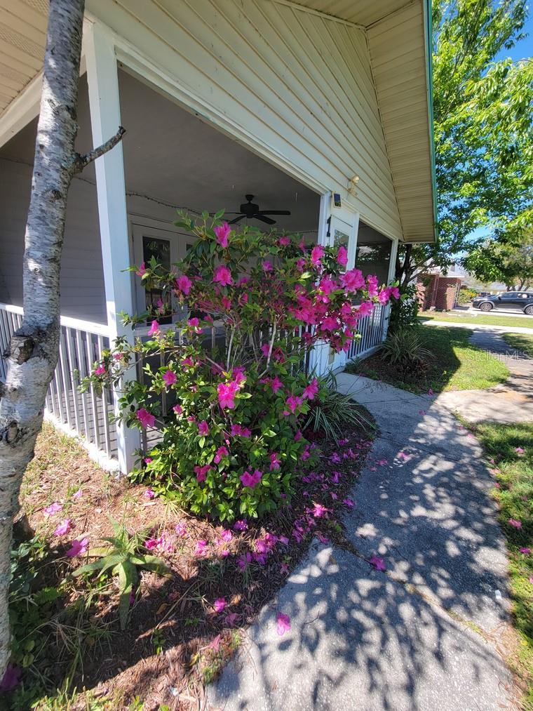 1 PLUMTREE PL #B, PALM COAST, FL, 32164