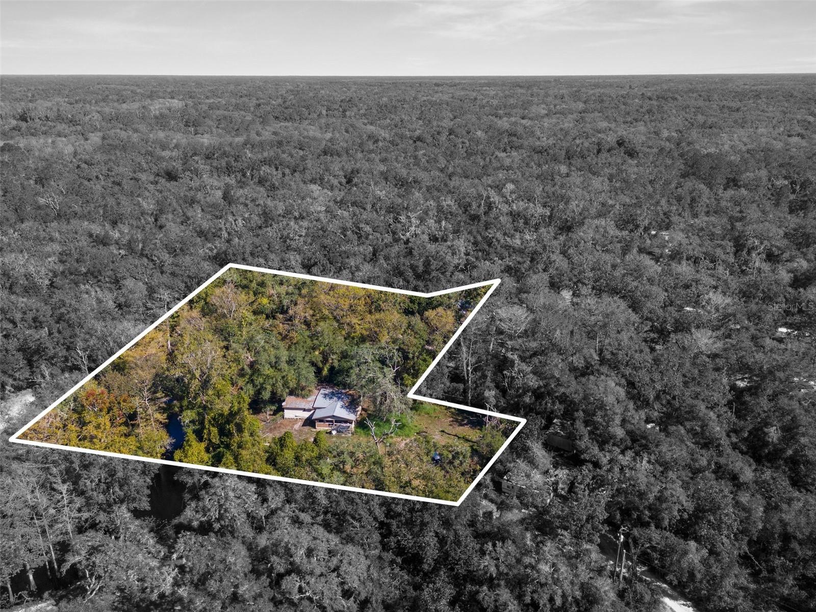 9347 RIVER ROCK DR, WEBSTER, FL, 33597