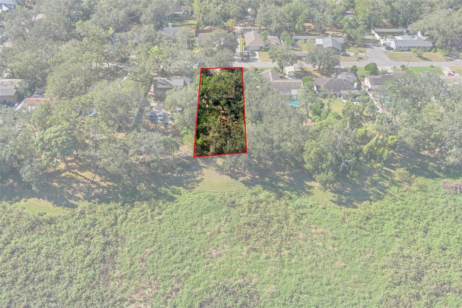 11315 N OLA AVE, TAMPA, FL, 33612