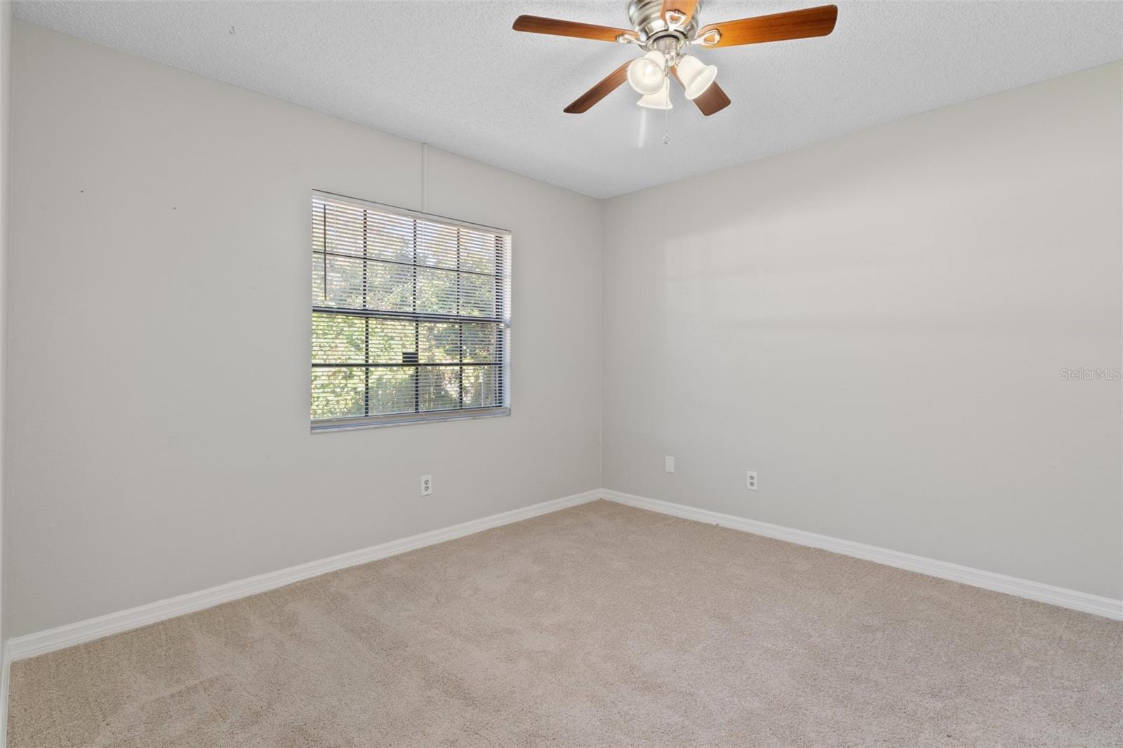 11315 N OLA AVE, TAMPA, FL, 33612
