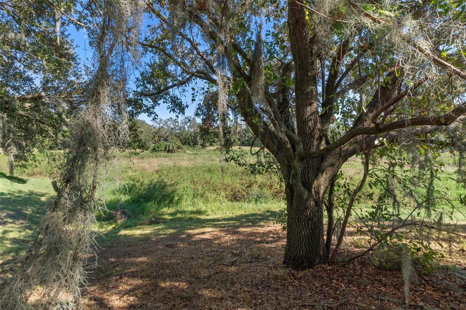 11315 N OLA AVE, TAMPA, FL, 33612
