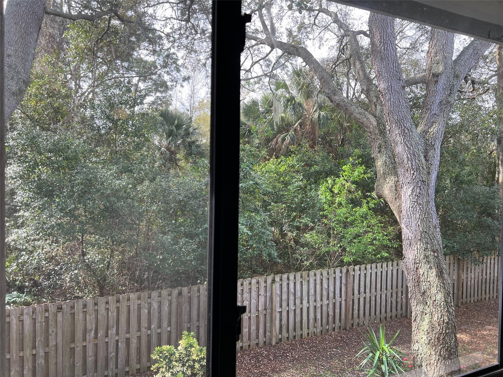 1795 HARRISON ST #215, TITUSVILLE, FL, 32780