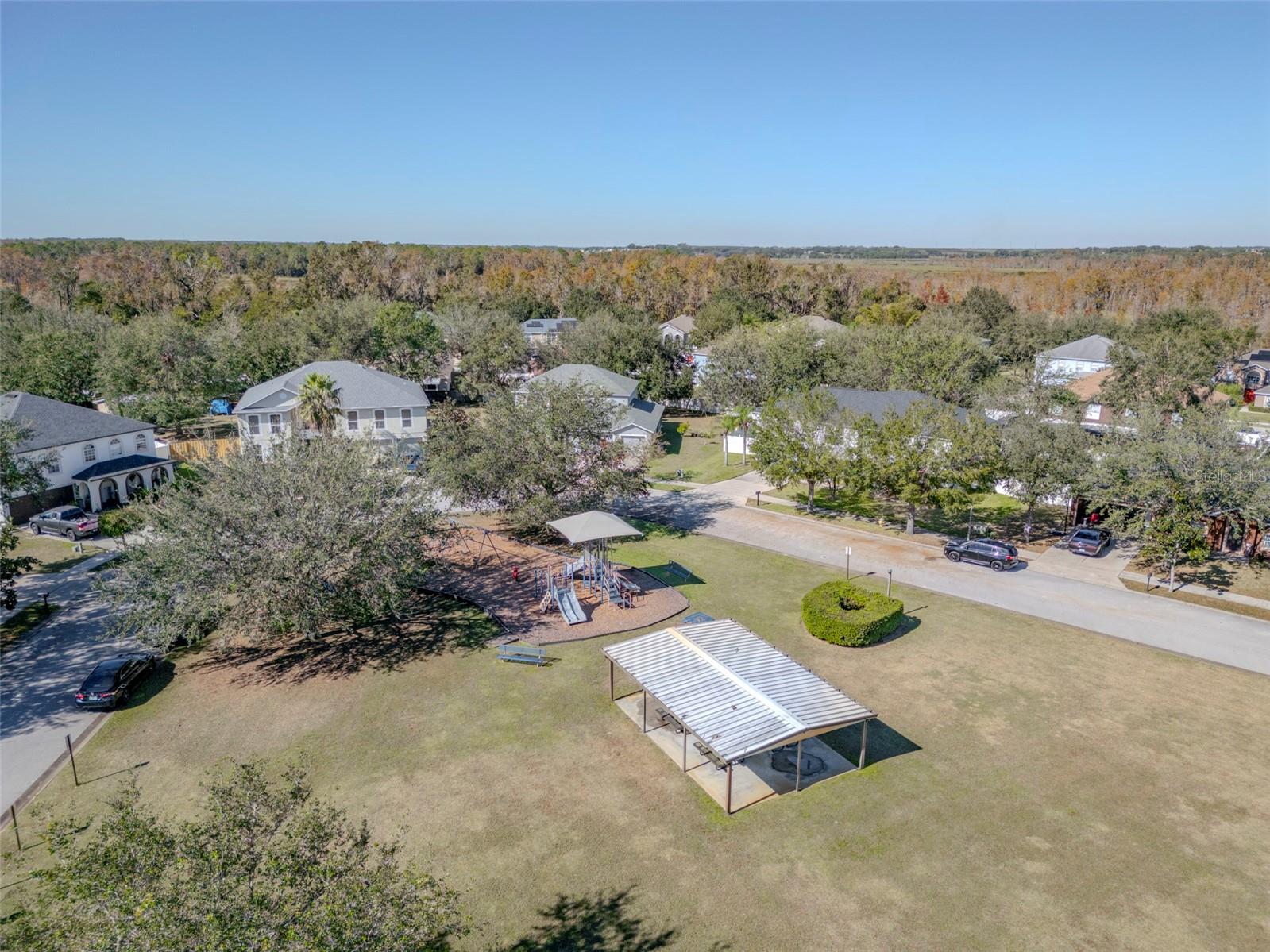 1032 TAWNY EAGLE DR, GROVELAND, FL, 34736