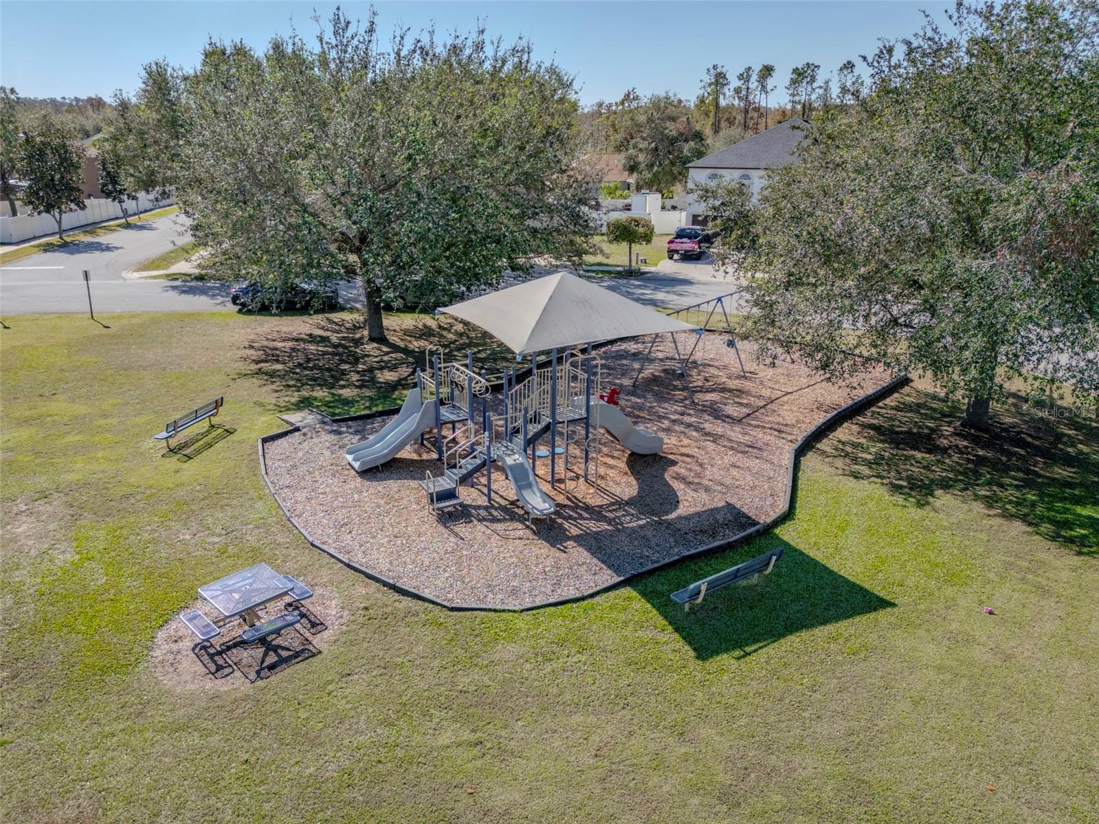 1032 TAWNY EAGLE DR, GROVELAND, FL, 34736