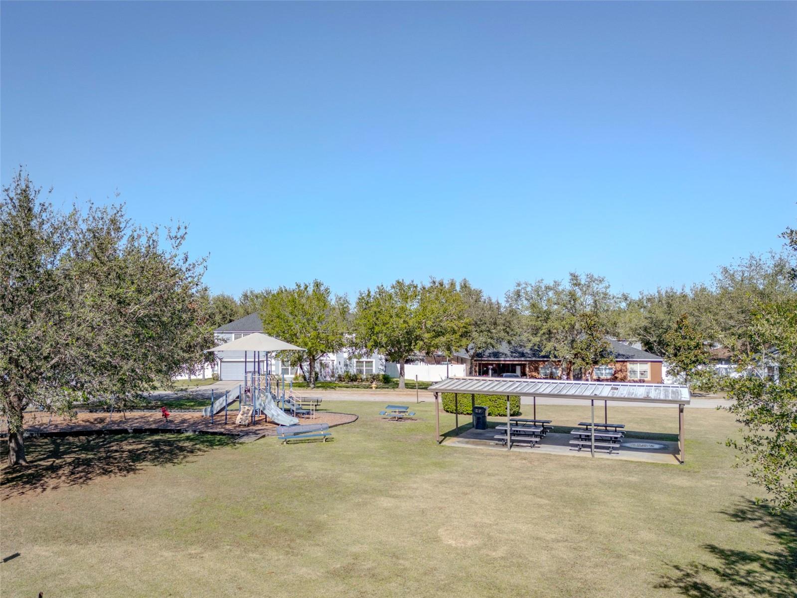 1032 TAWNY EAGLE DR, GROVELAND, FL, 34736