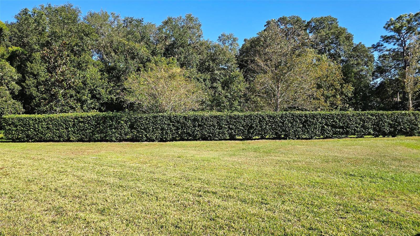 2914 SCARLETT DR, SAINT CLOUD, FL, 34772