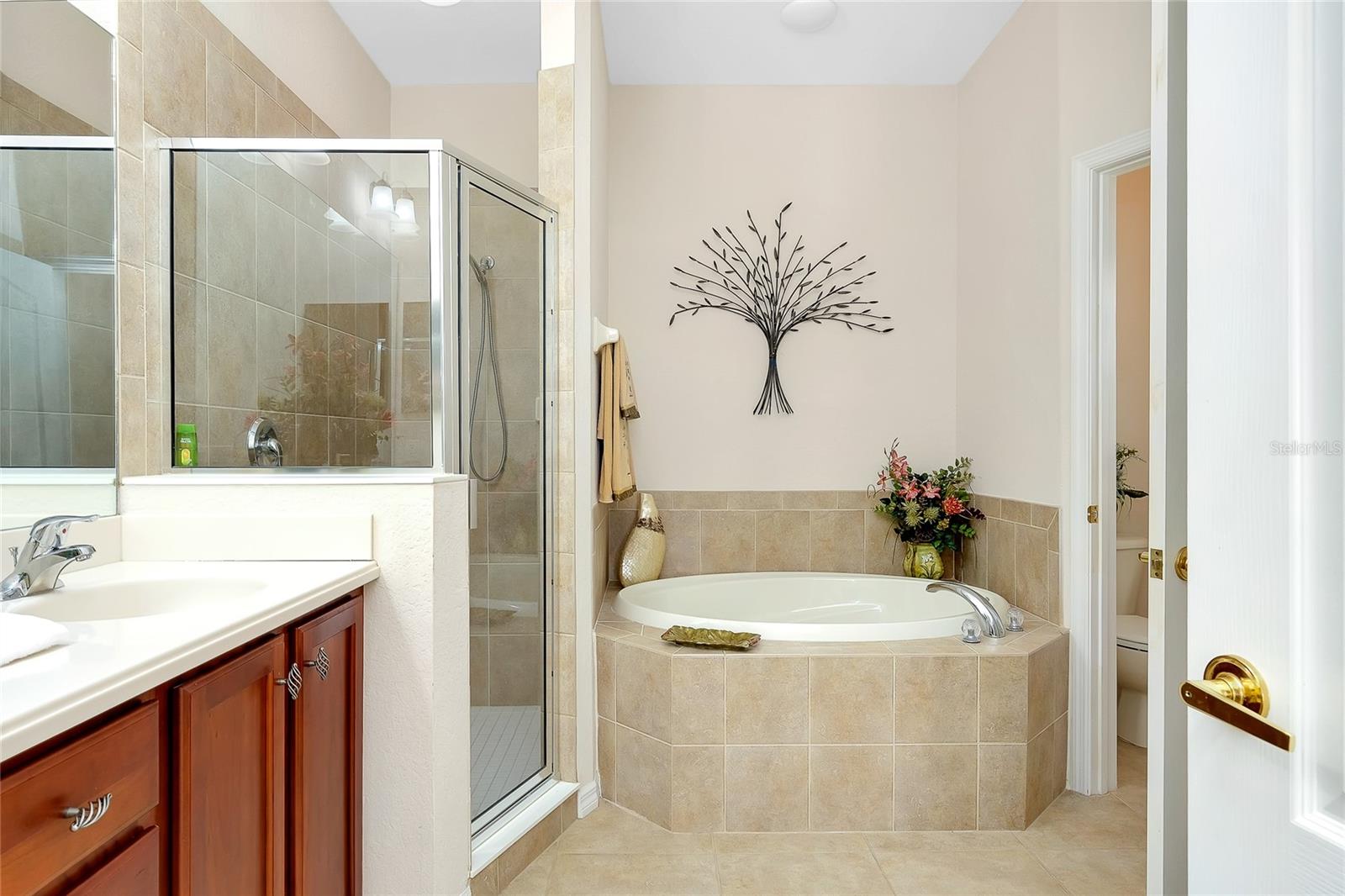 11394 DANCING RIVER DR, VENICE, FL, 34292