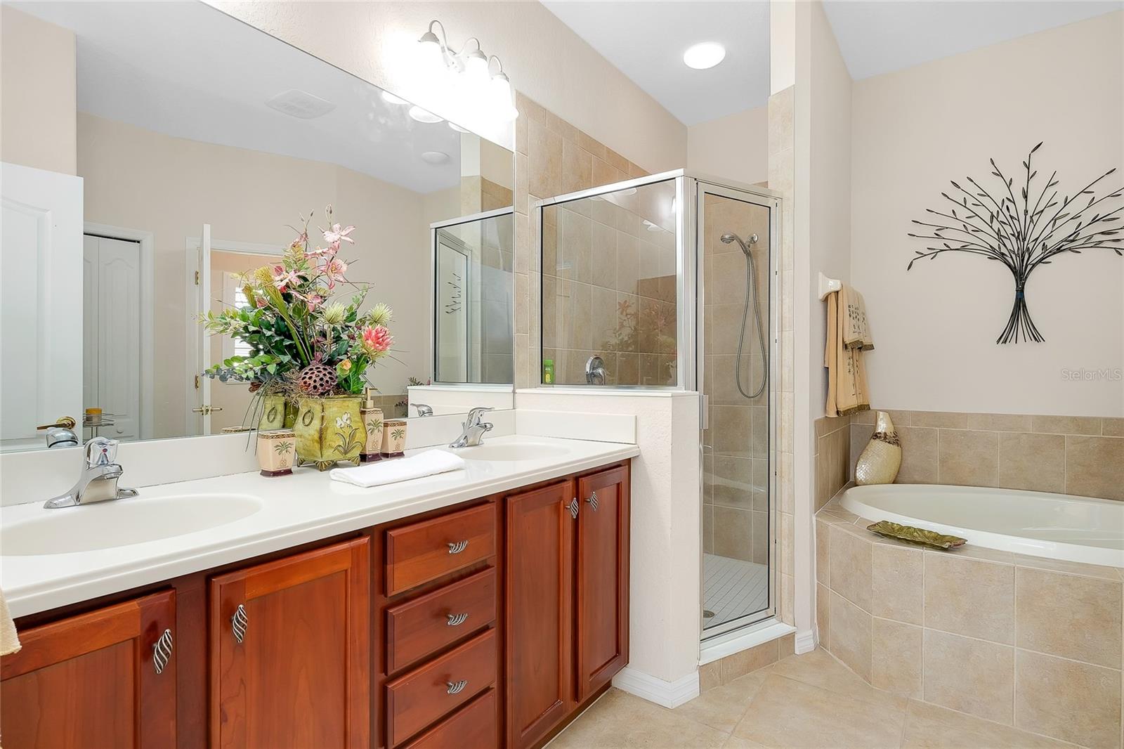11394 DANCING RIVER DR, VENICE, FL, 34292