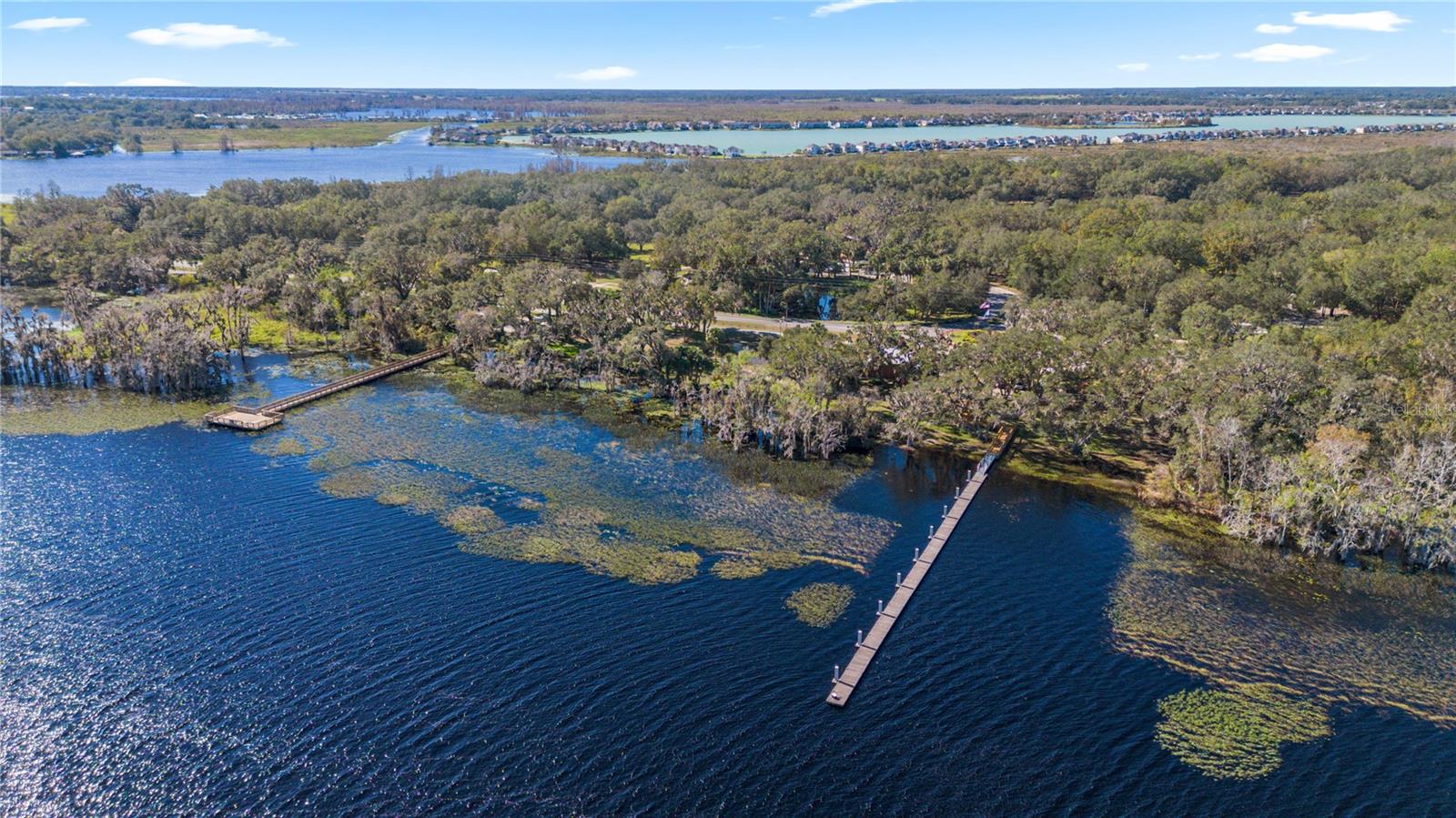 9519 WATER ORCHID AVE, CLERMONT, FL, 34711