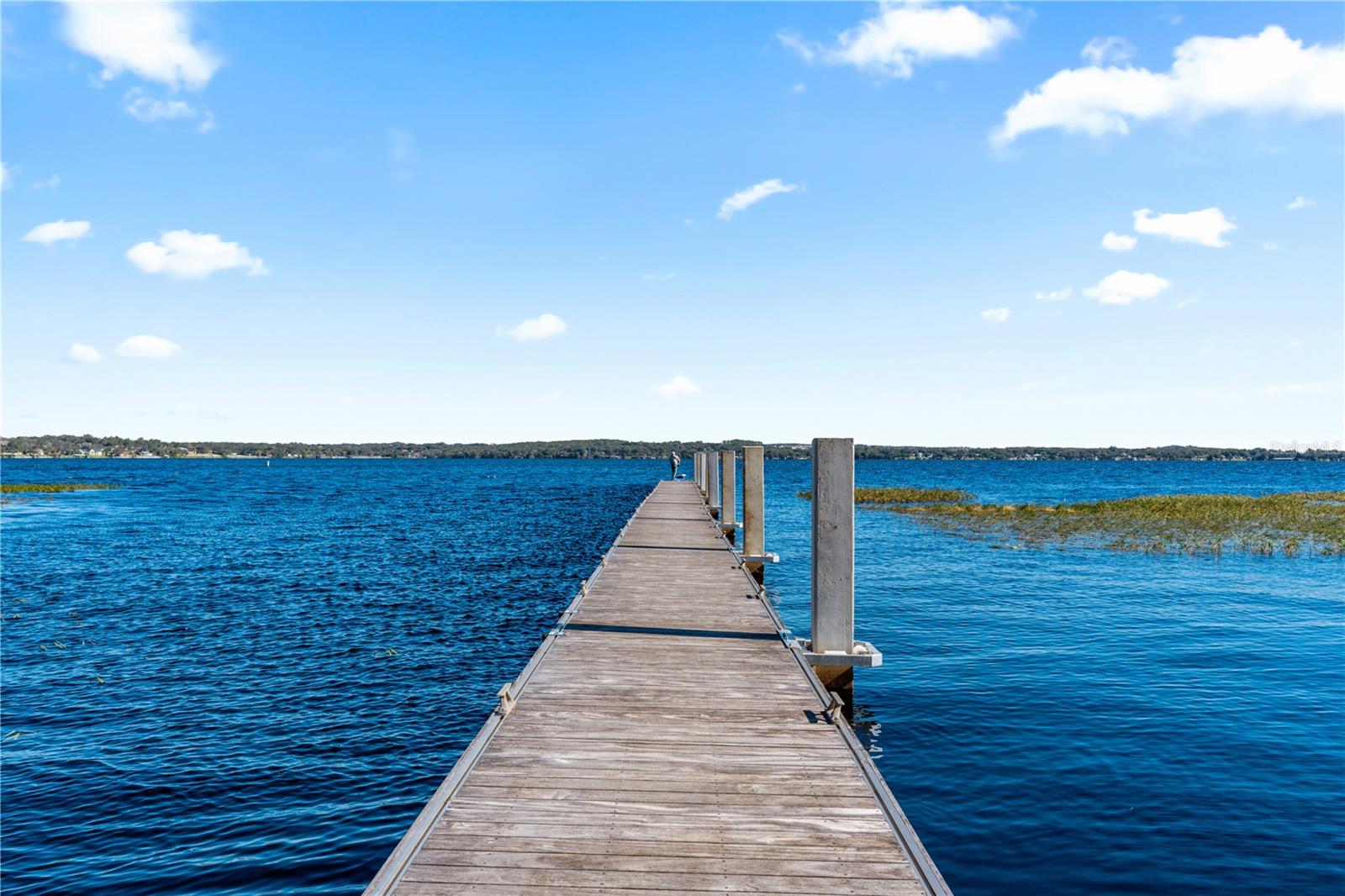9519 WATER ORCHID AVE, CLERMONT, FL, 34711