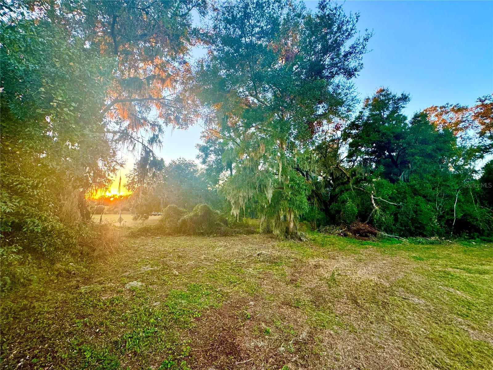 14735 SE 77TH CT, SUMMERFIELD, FL, 34491
