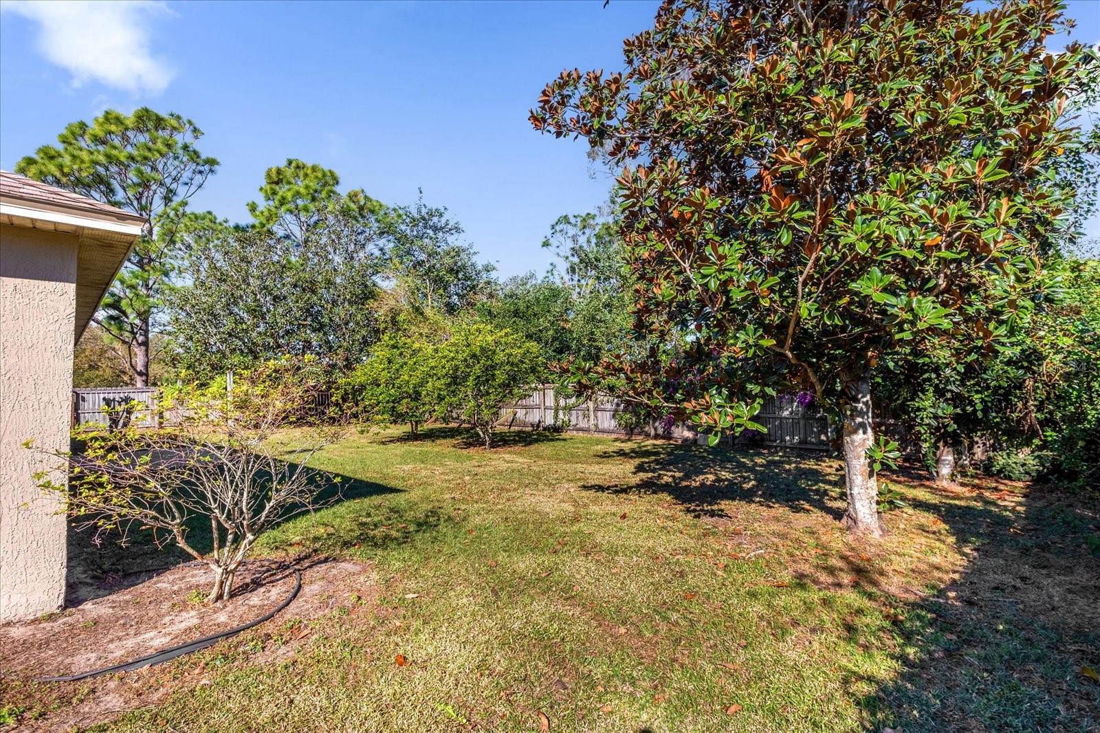 10233 SPRING MOSS AVE, CLERMONT, FL, 34711