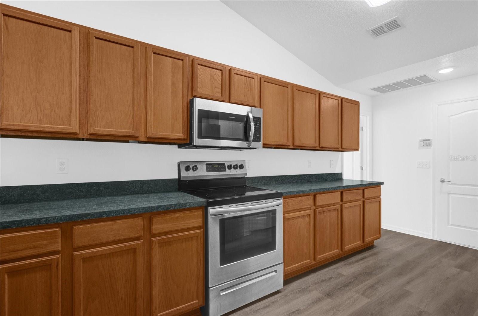 10233 SPRING MOSS AVE, CLERMONT, FL, 34711