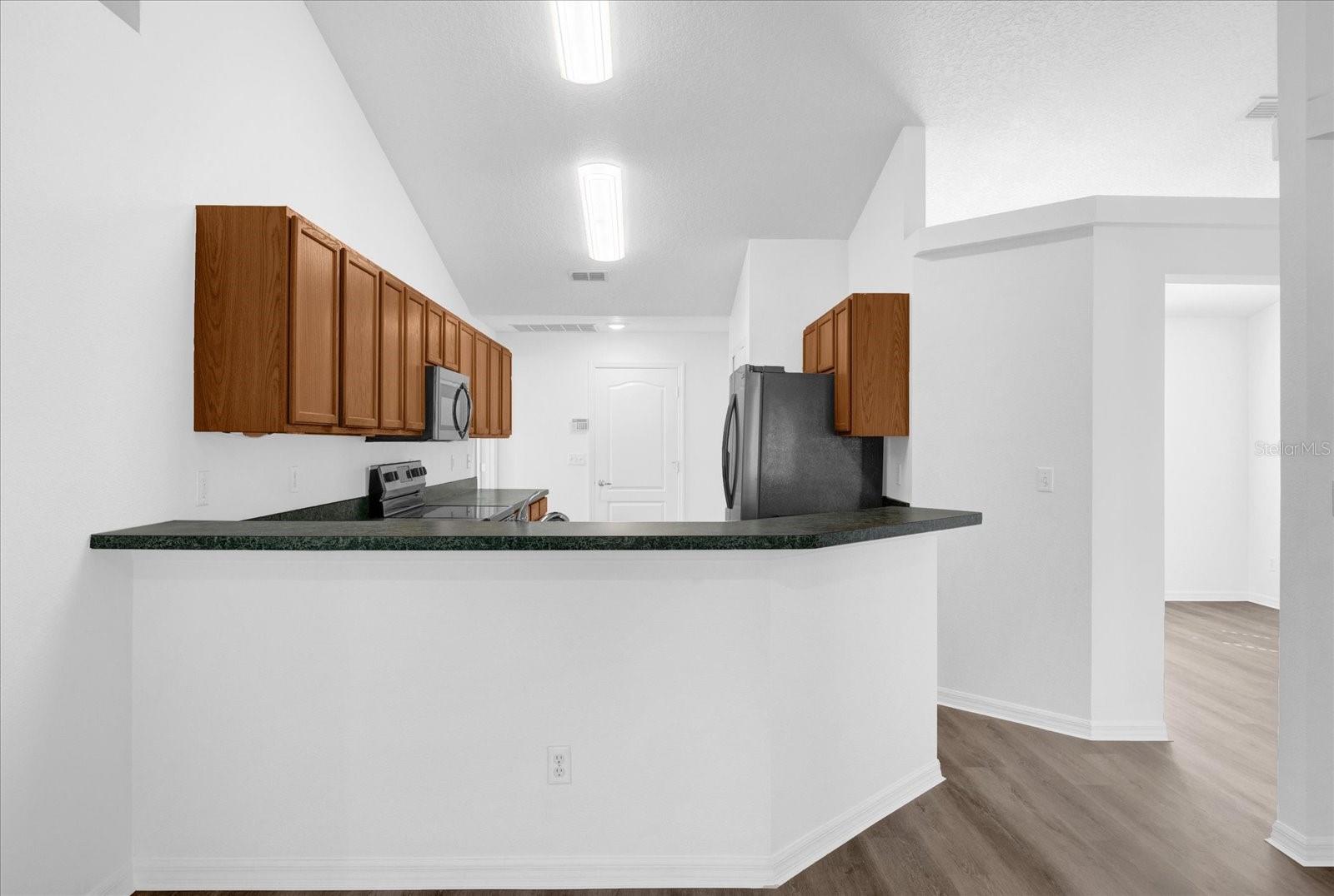 10233 SPRING MOSS AVE, CLERMONT, FL, 34711