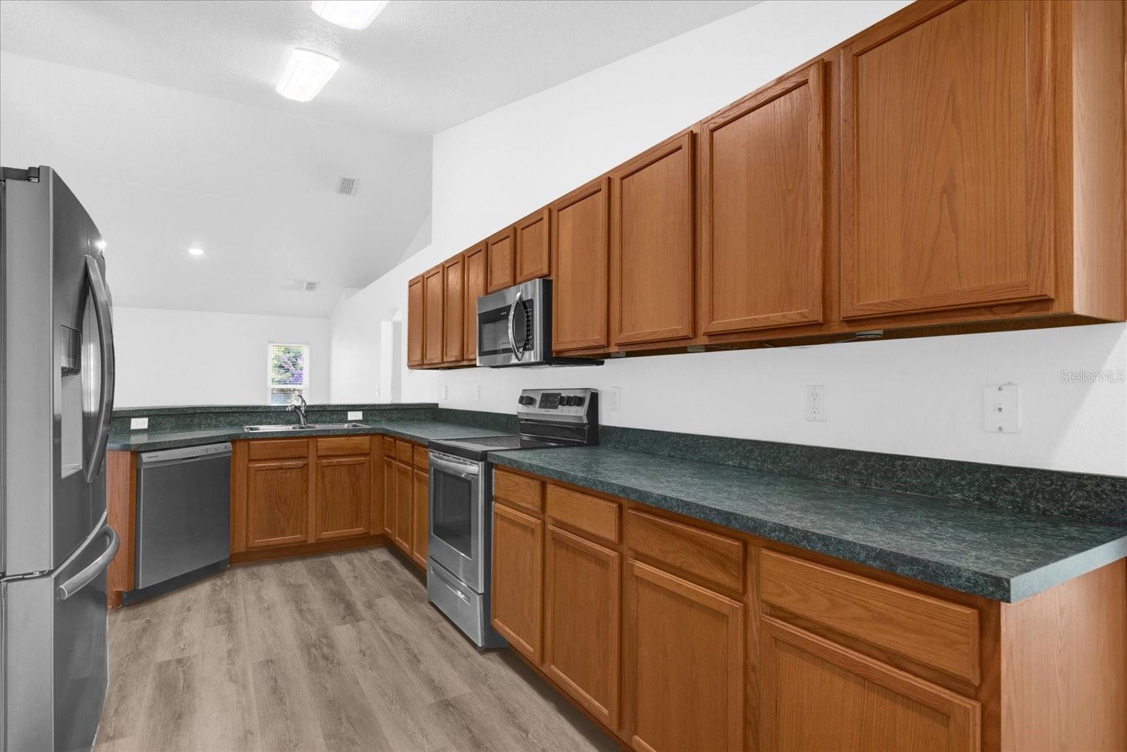 10233 SPRING MOSS AVE, CLERMONT, FL, 34711