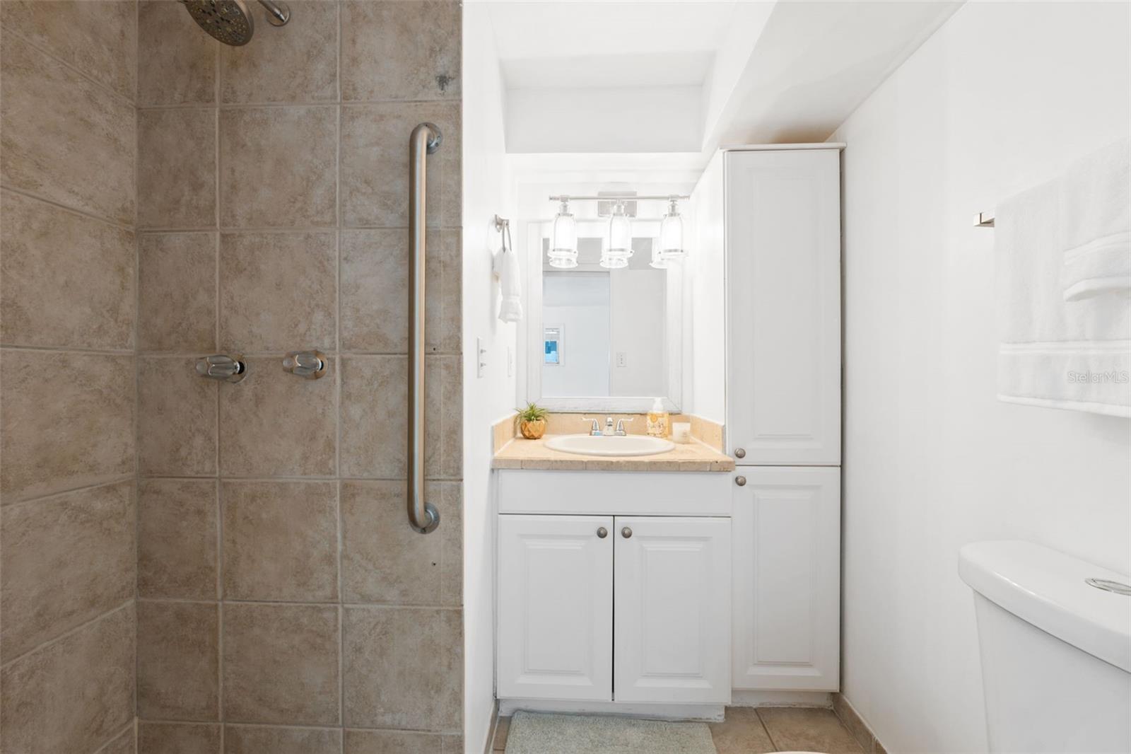 3918 W FIG ST, TAMPA, FL, 33609