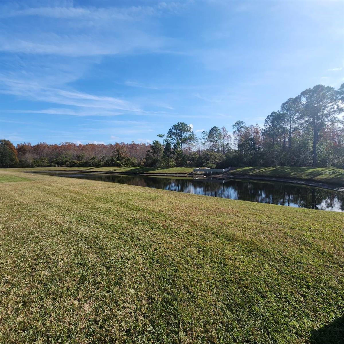 14228 ABINGTON HEIGHTS DR, ORLANDO, FL, 32828