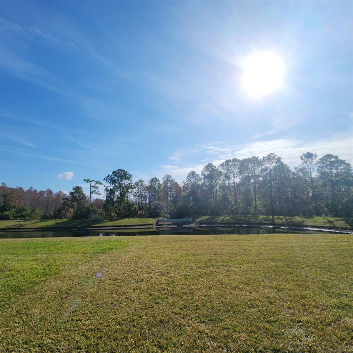 14228 ABINGTON HEIGHTS DR, ORLANDO, FL, 32828