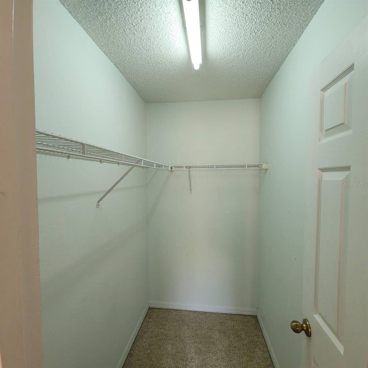 14228 ABINGTON HEIGHTS DR, ORLANDO, FL, 32828