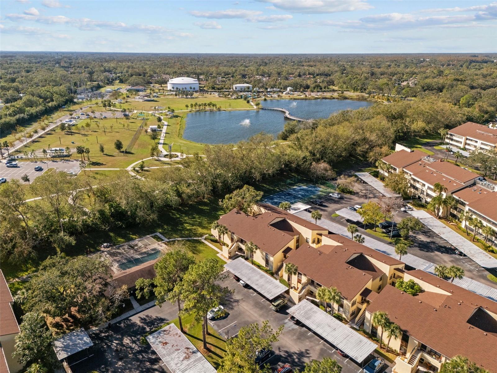 13608 S VILLAGE DR #6105, TAMPA, FL, 33618