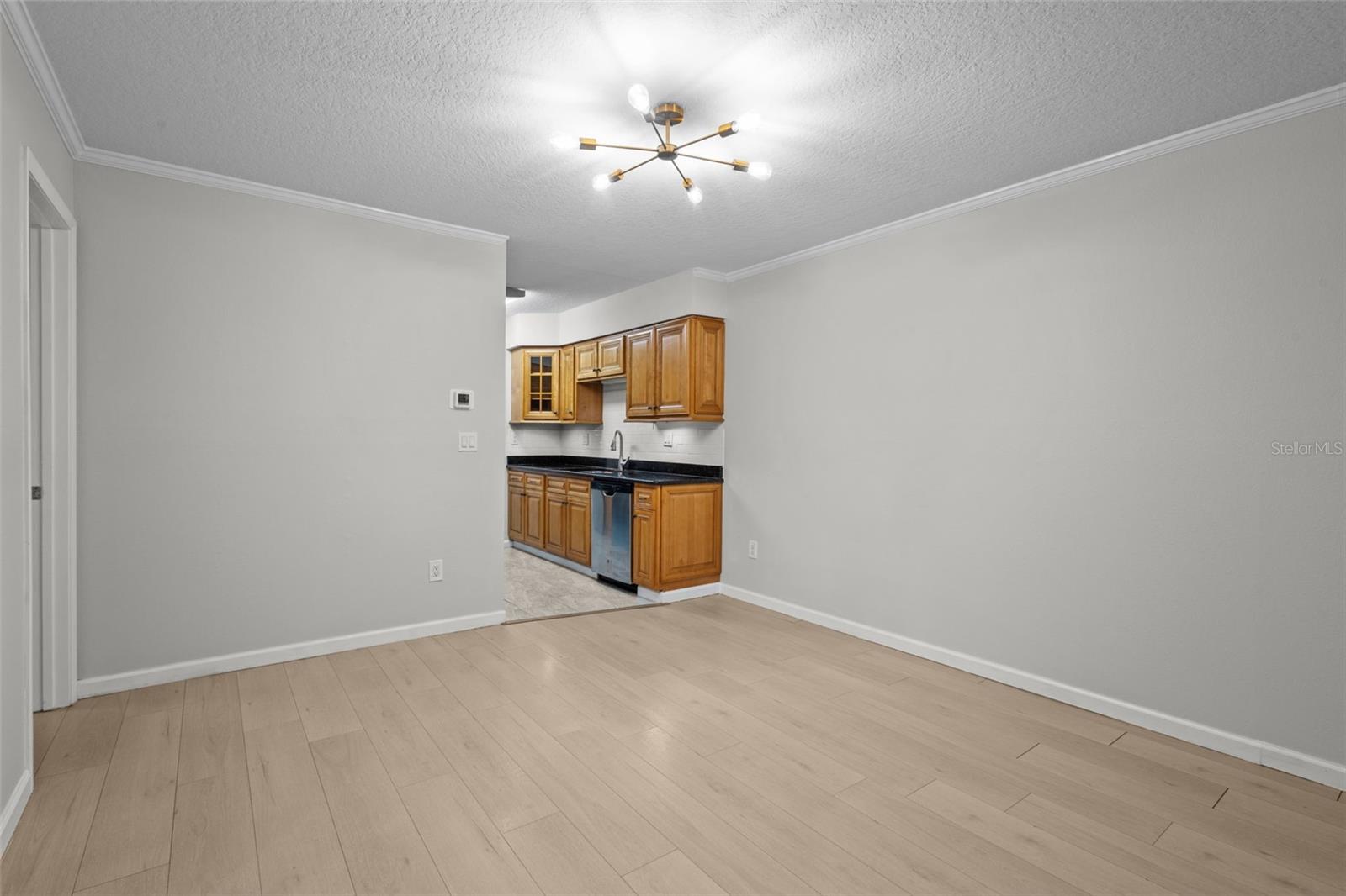 13608 S VILLAGE DR #6105, TAMPA, FL, 33618