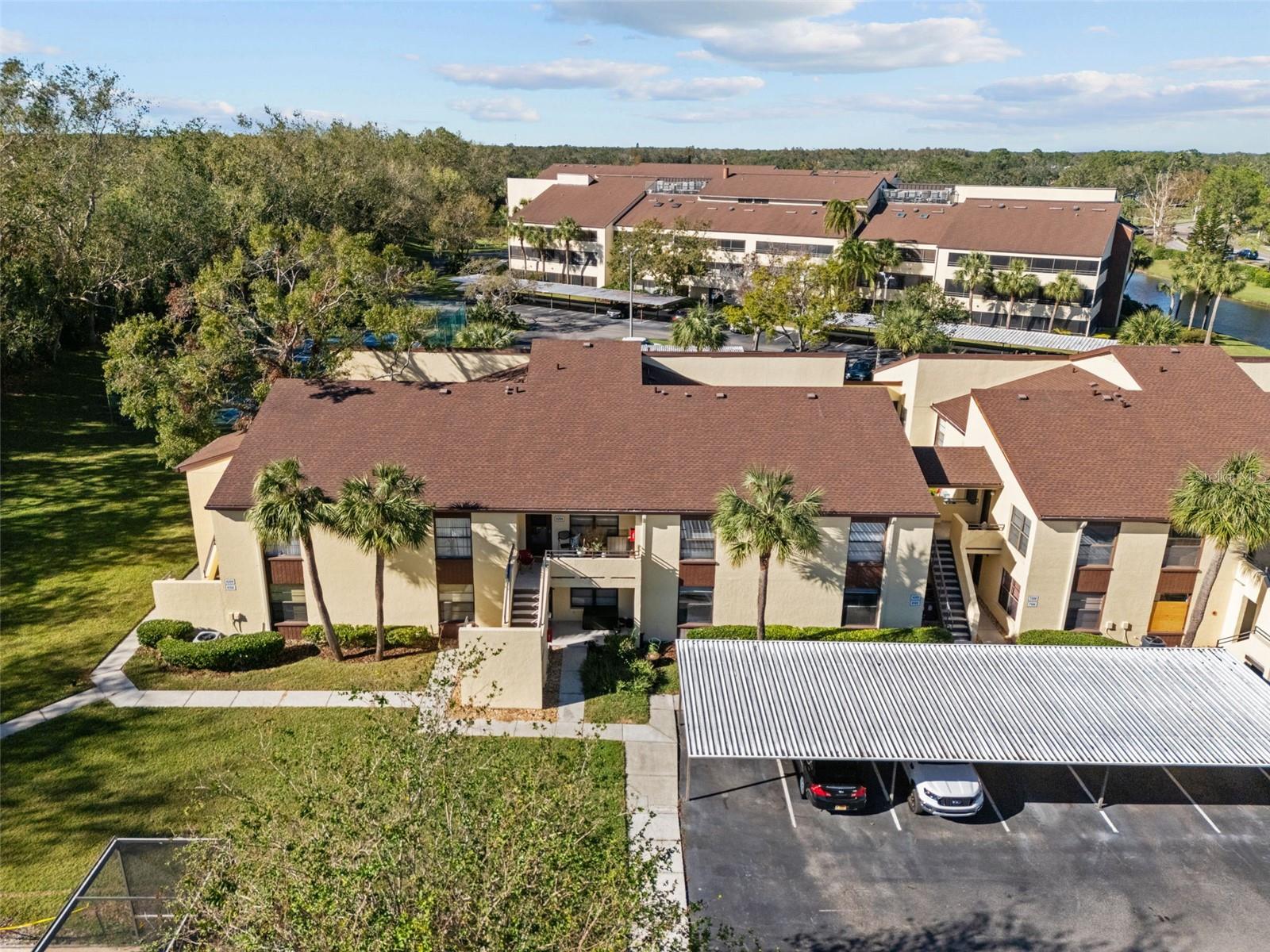 13608 S VILLAGE DR #6105, TAMPA, FL, 33618