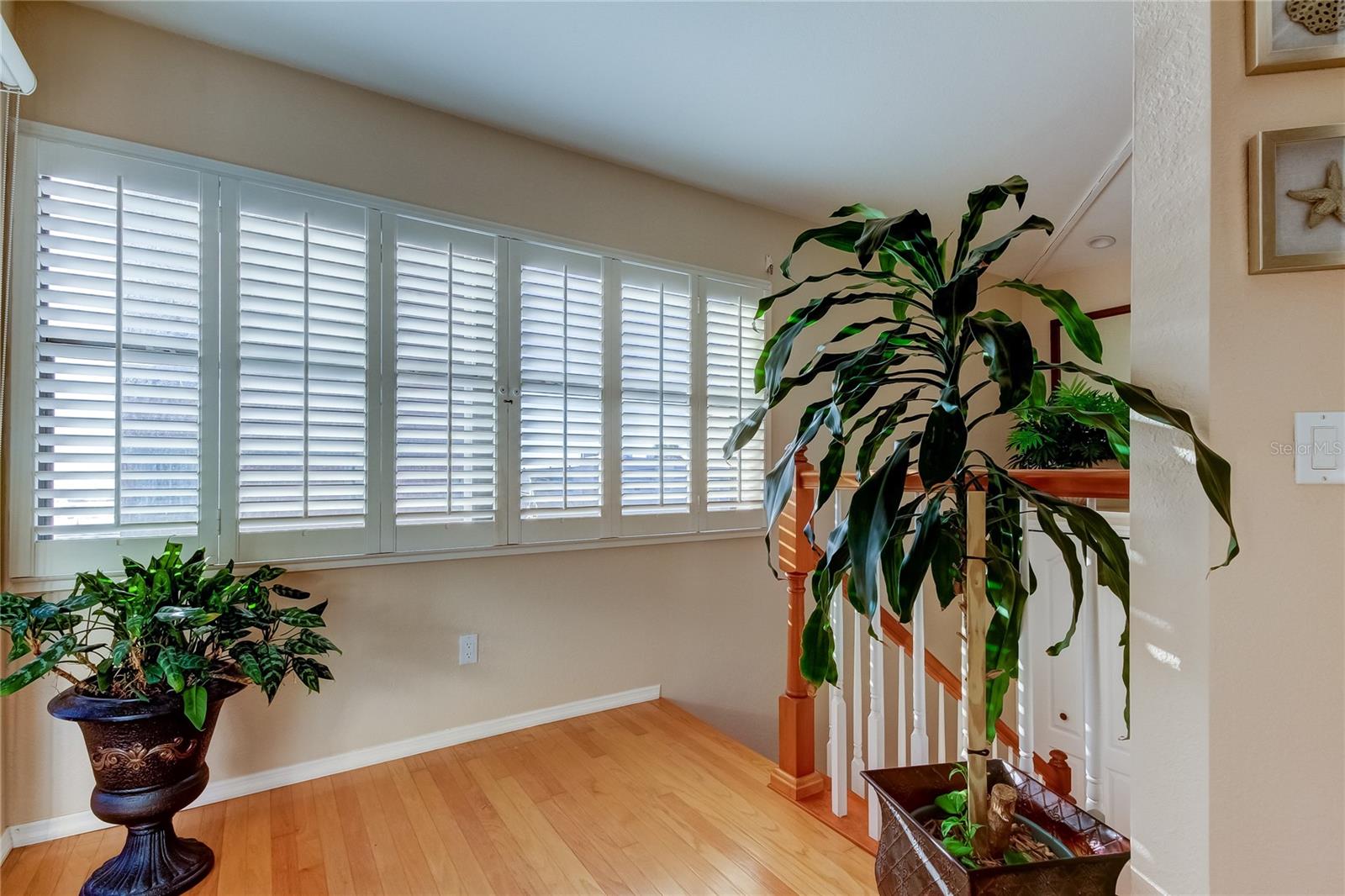 113 176TH AVE W, REDINGTON SHORES, FL, 33708