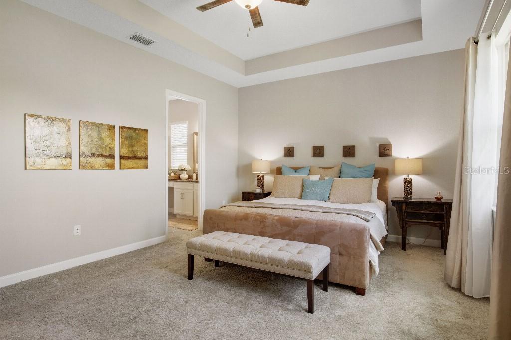 10909 SE 168TH LOOP, SUMMERFIELD, FL, 34491