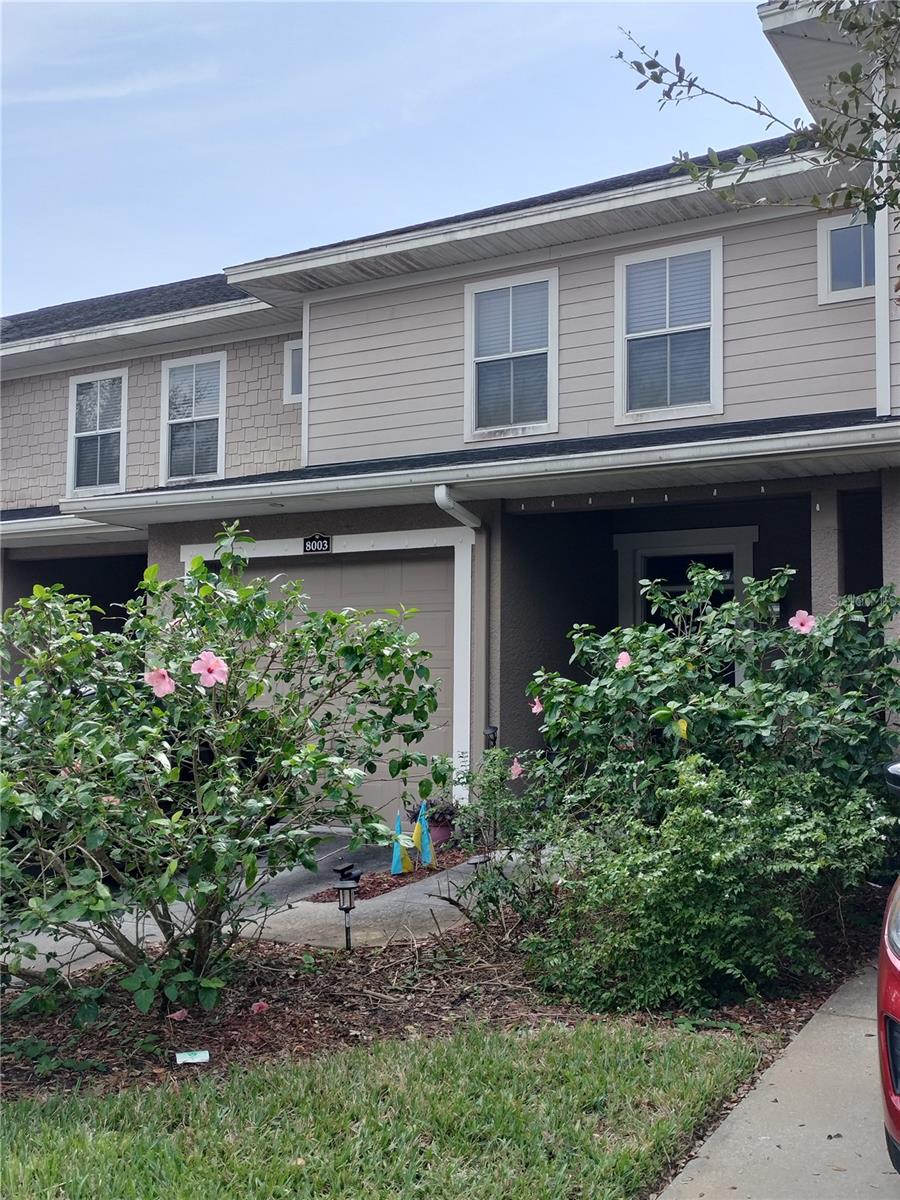 8003 BALLY MONEY RD, TAMPA, FL, 33610