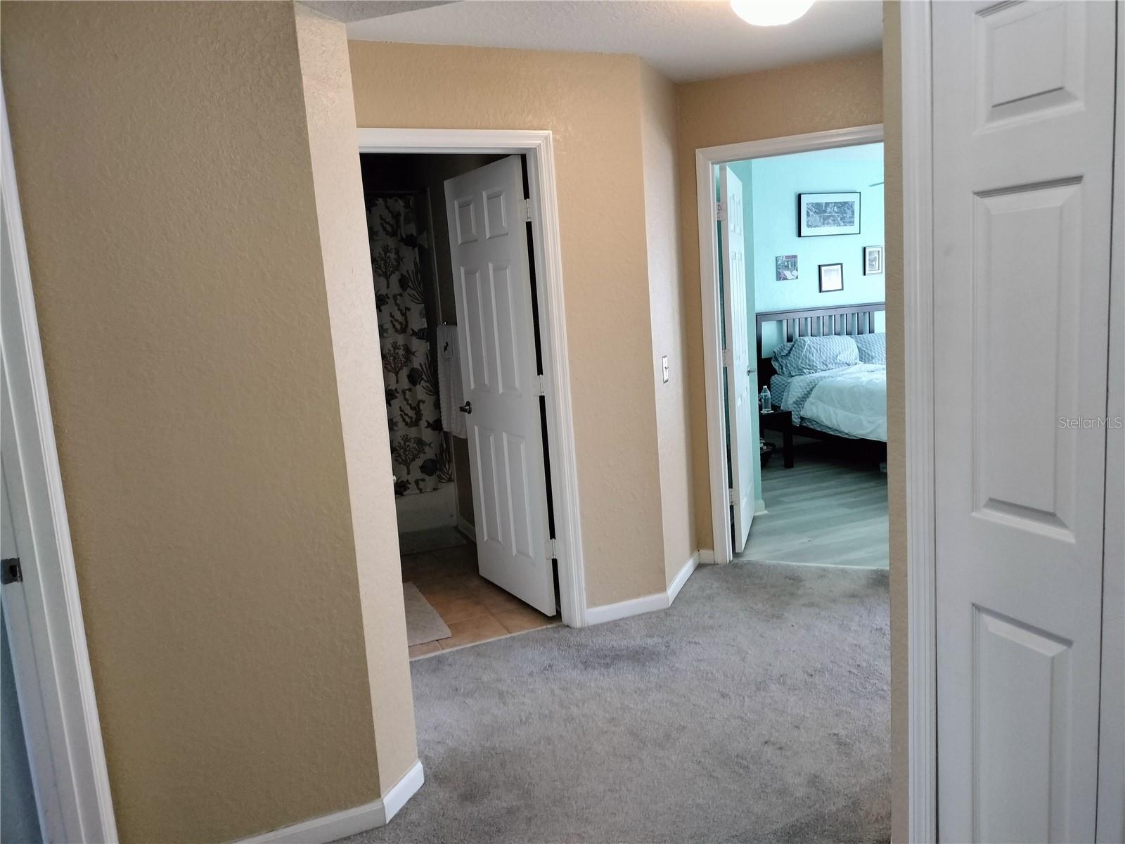 8003 BALLY MONEY RD, TAMPA, FL, 33610