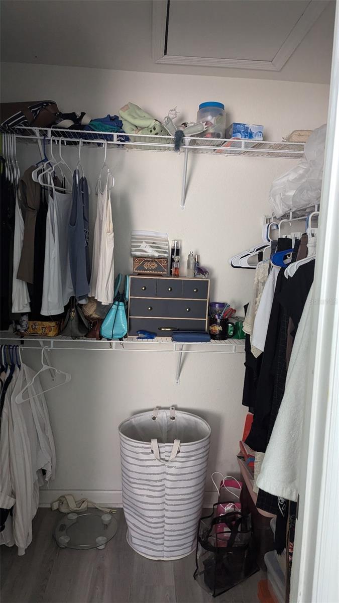 8003 BALLY MONEY RD, TAMPA, FL, 33610