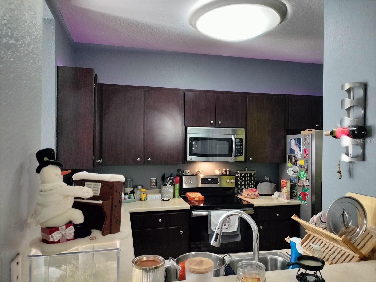 8003 BALLY MONEY RD, TAMPA, FL, 33610