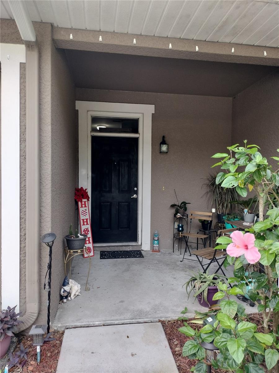 8003 BALLY MONEY RD, TAMPA, FL, 33610