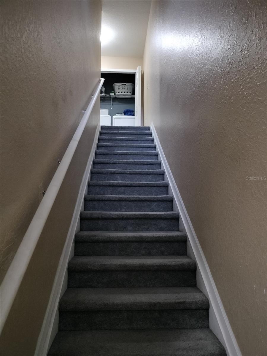 8003 BALLY MONEY RD, TAMPA, FL, 33610